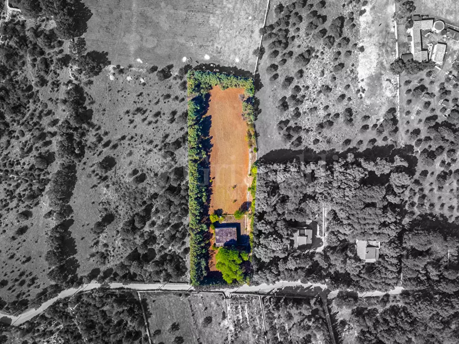 Immagine 13 di Terreno agricolo in vendita  in Via Cava Grande, 1 a Avola