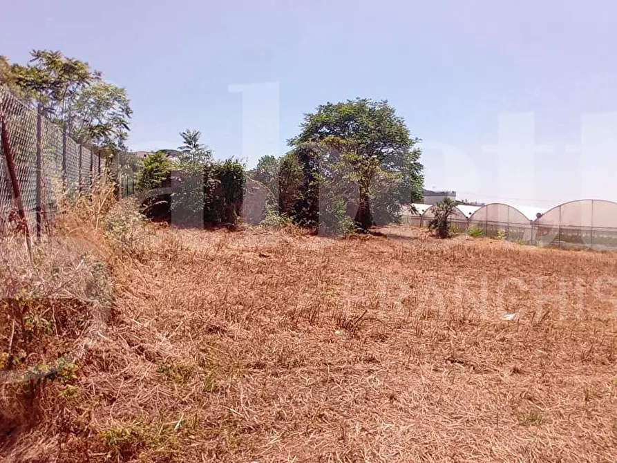 Immagine 10 di Terreno agricolo in vendita  in LocalitÃ  San Vito, s.n.c. a Gaeta