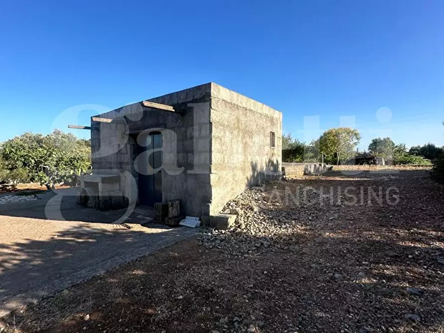 Immagine 5 di Terreno agricolo in vendita  in Contrada Salinola a Ostuni