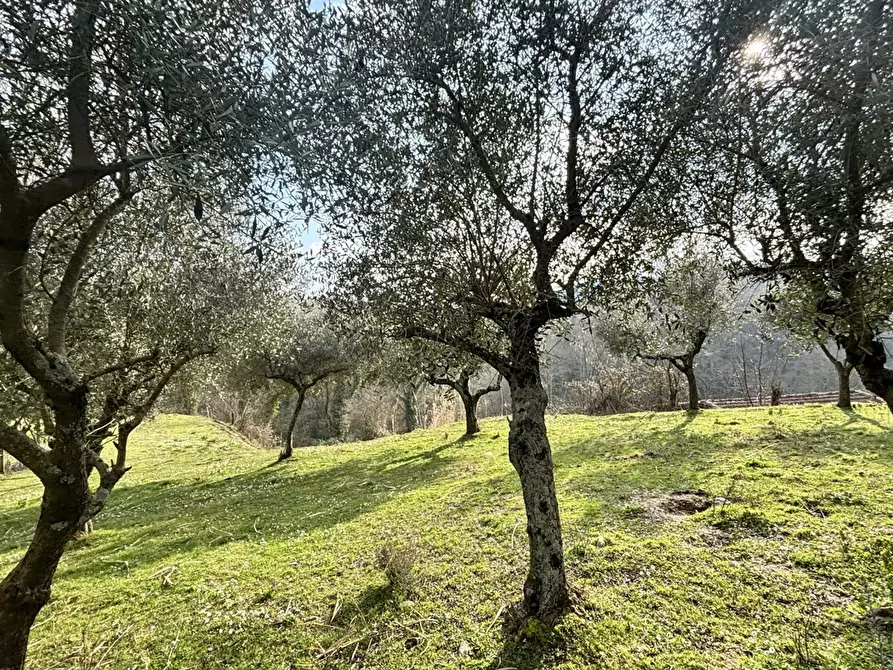 Immagine 9 di Rustico / casale in vendita  in Via Casale Basso, snc a Alatri