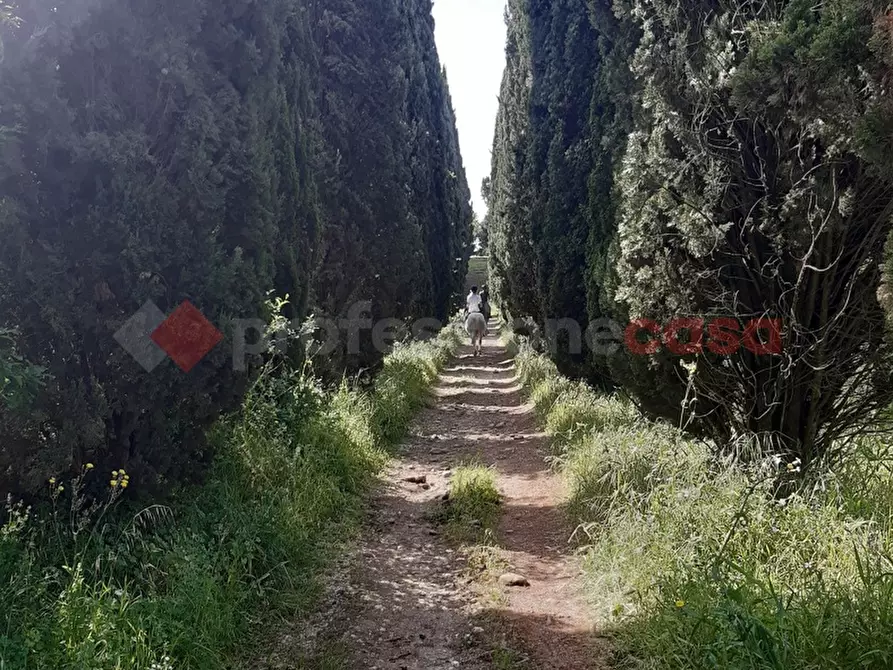 Immagine 5 di Villa in vendita  in Via villa del vescovo, 41 a Uzzano