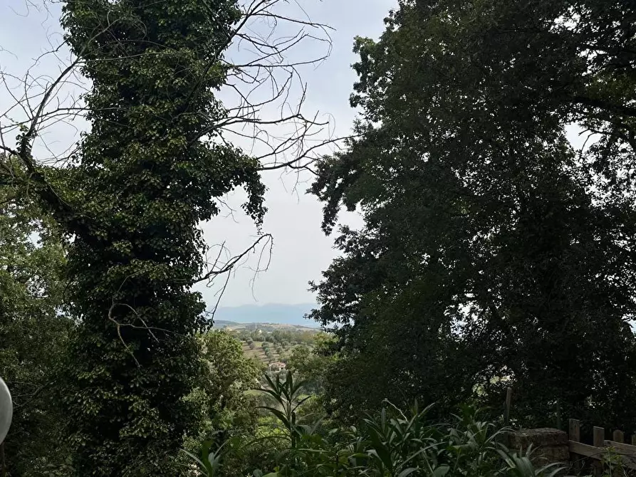 Immagine 20 di Appartamento in vendita  in Via di Vallelunga, 54 a Capena