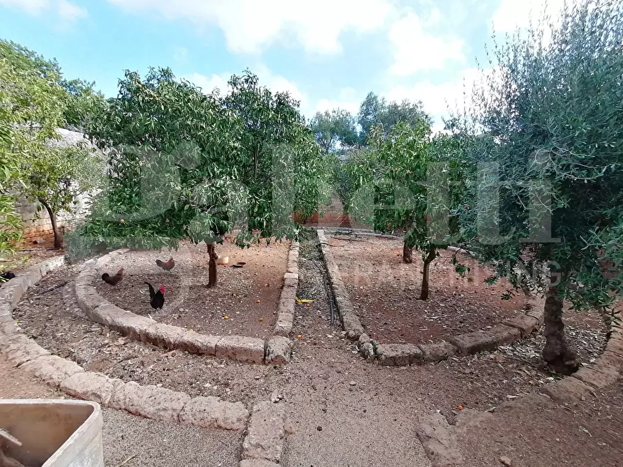 Immagine 9 di Villa in vendita  in Contrada foggiali a Ostuni