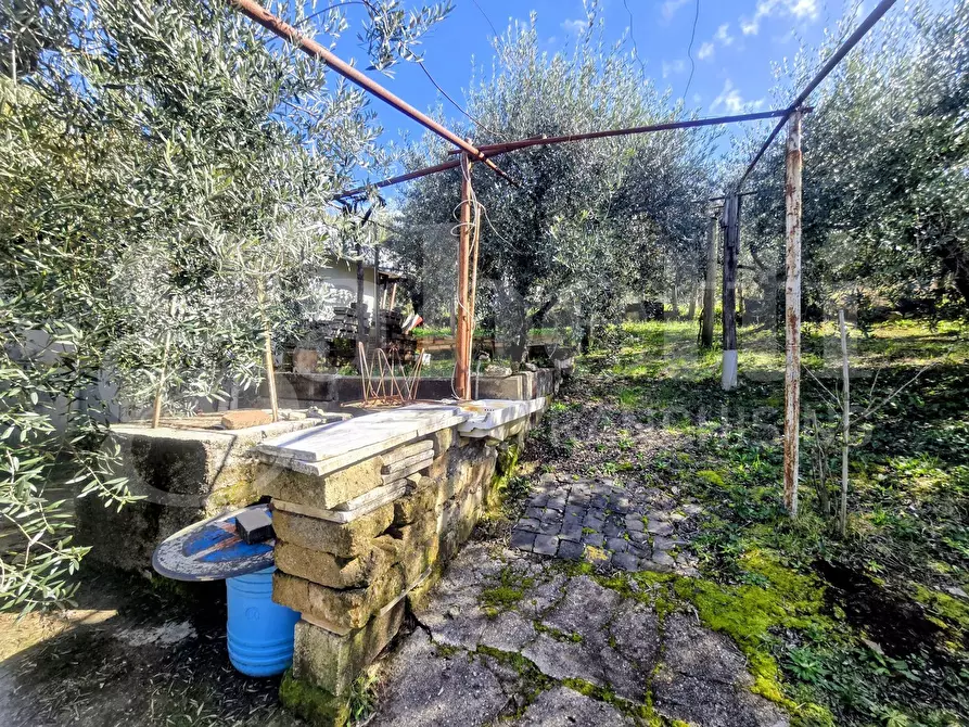 Immagine 15 di Rustico / casale in vendita  in Via Fonte del Colle, snc a Artena