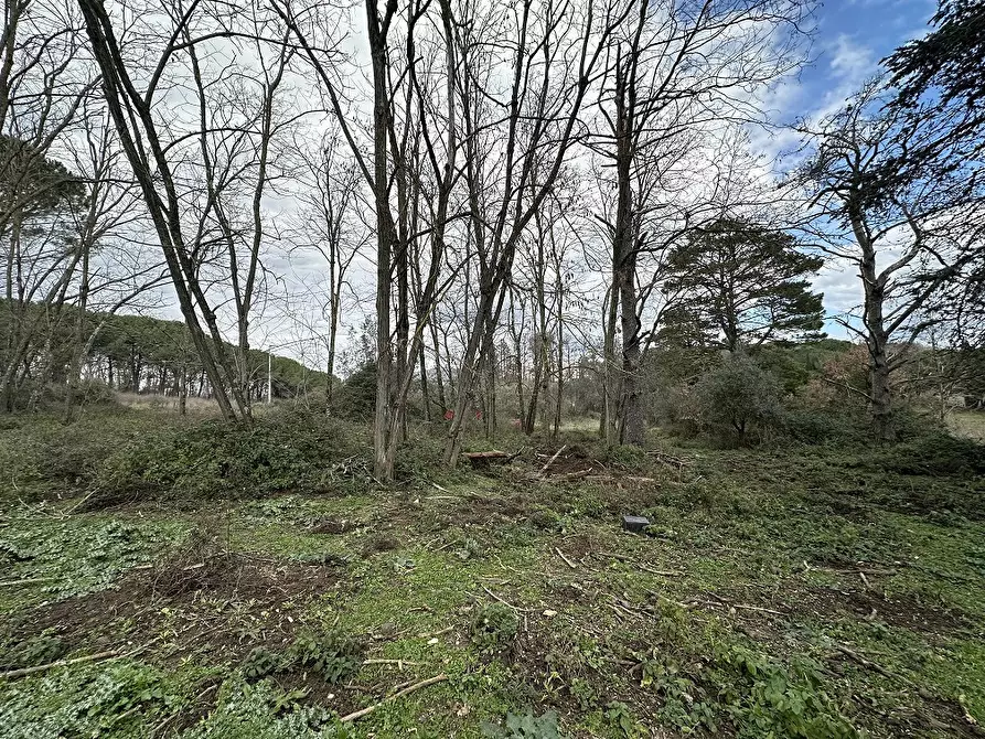 Immagine 4 di Terreno agricolo in vendita  in Via MONTANCIANO, 00 a Canale Monterano