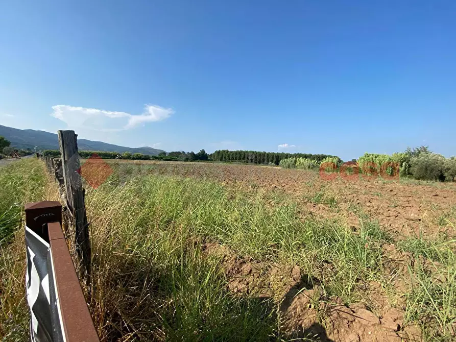 Immagine 33 di Terreno agricolo in vendita  in LocalitÃ  Starzella, SNC a Falciano Del Massico