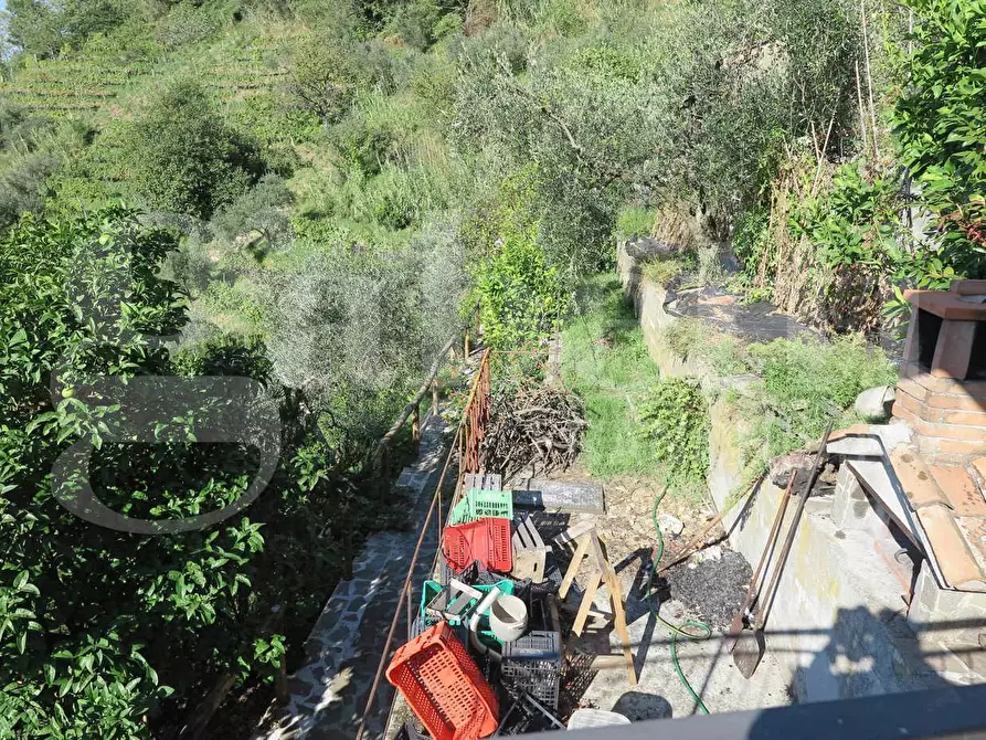 Immagine 7 di Casa indipendente in vendita  in Via canarbino, 4 a Lerici