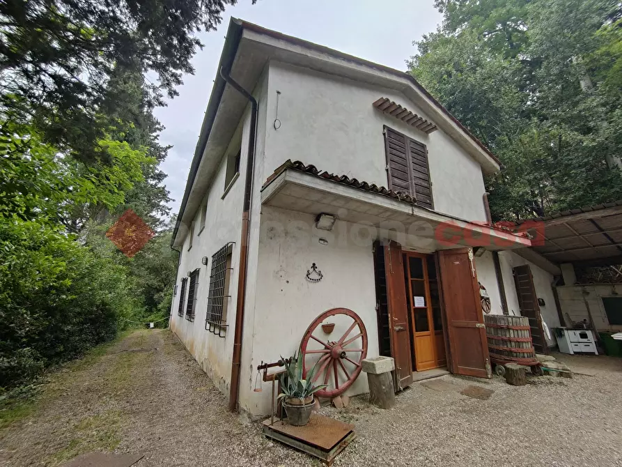 Immagine 13 di Terreno agricolo in vendita  in Via di castagneto a Empoli