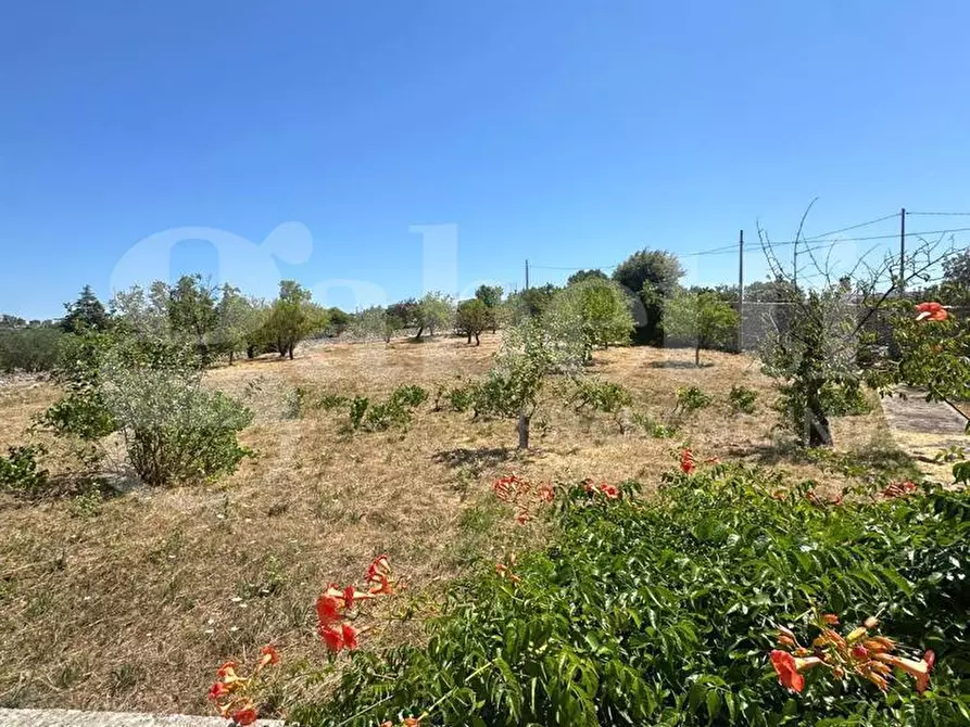 Immagine 15 di Villa in vendita  in Contrada Lamardilla, sn a Ostuni