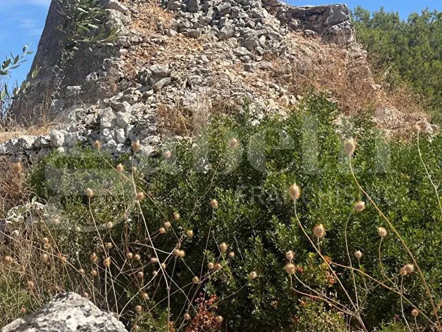 Immagine 8 di Terreno agricolo in vendita  in Contrada Campanile a Ostuni