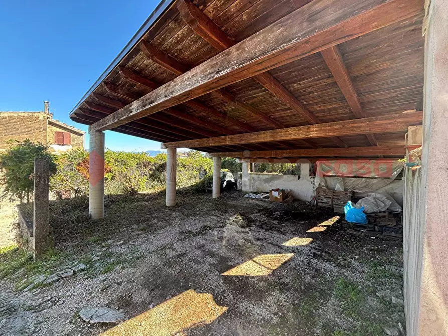 Immagine 8 di Terreno agricolo in vendita  in Via Vignali, snc a Sgurgola