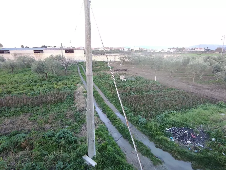Immagine 9 di Terreno agricolo in vendita  in Via SAN ROCCO, SNC a San Severo
