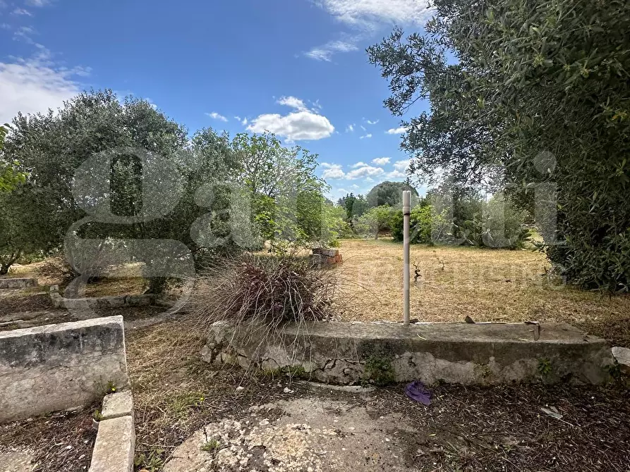 Immagine 11 di Villa in vendita  in Contrada Acquarella, sn a Ostuni