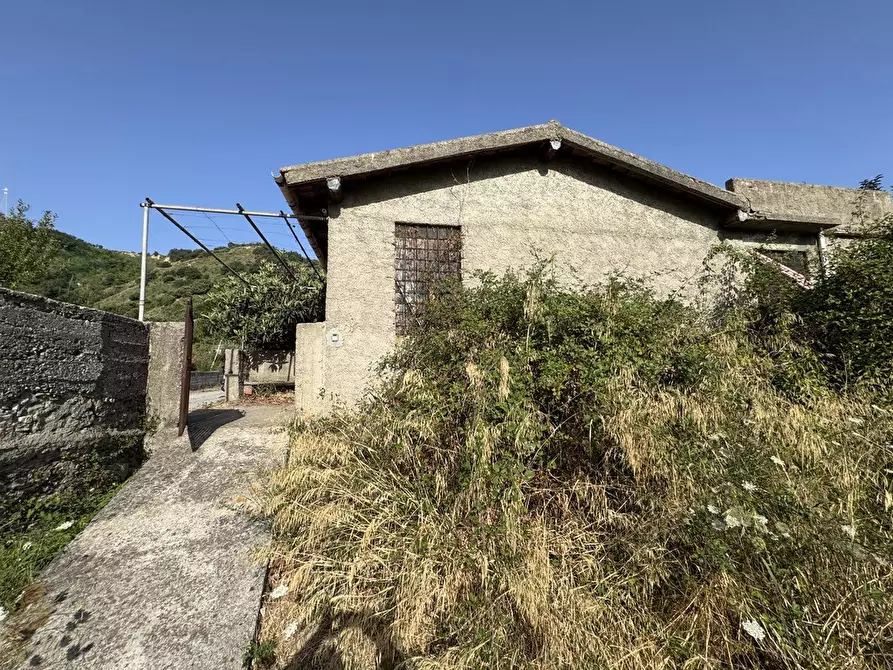 Immagine 5 di Terreno agricolo in vendita  in Strada comunale, snc a Rometta