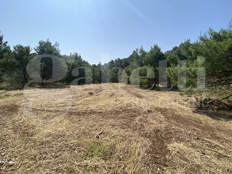 Immagine 35 di Villa in vendita  in Via S.P. 18, 76 a Cassano Delle Murge