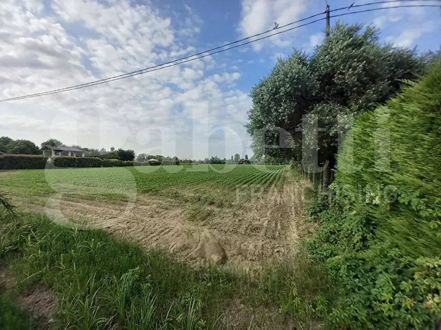 Immagine 2 di Terreno residenziale in vendita  in Via CAMPODARSEGO - VIA A.LONGHIN GIACINTO, 00 a Campodarsego