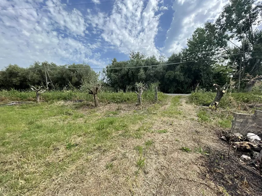 Immagine 34 di Rustico / casale in vendita  in Via SUGARELLE, 5 a Fondi