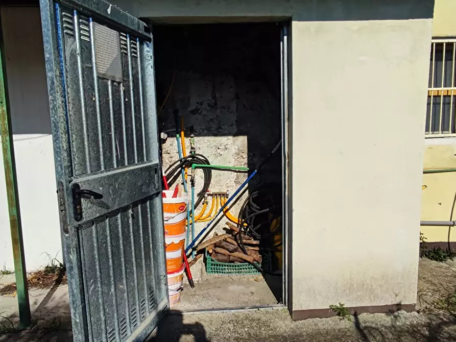 Immagine 7 di Villa in vendita  in LocalitÃ  MORTILLA, SNC a Magisano