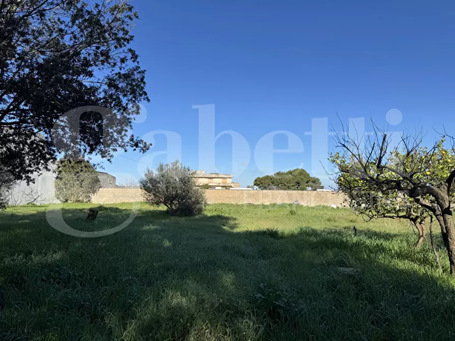 Immagine 9 di Terreno residenziale in vendita  in Via Fiume, 88 a Galatina