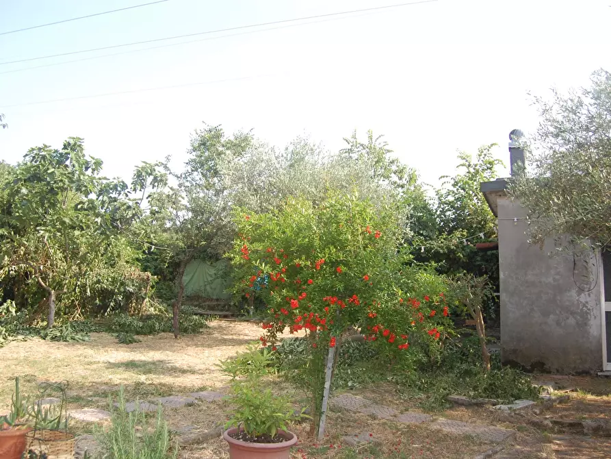 Immagine 28 di Villa in vendita  in Viale CORSICA a Riccione