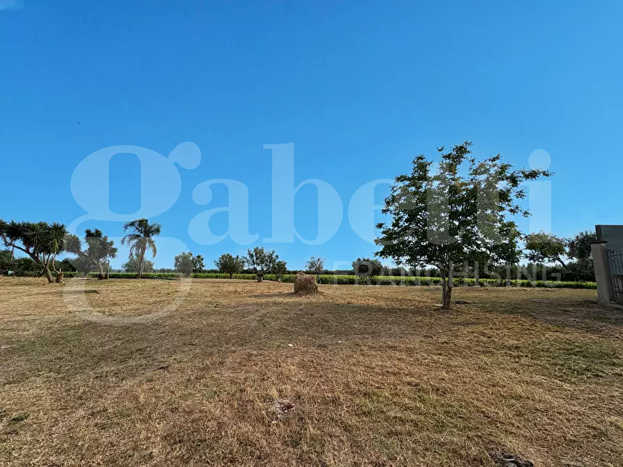 Immagine 9 di Azienda agricola in vendita  in LocalitÃ  Monticello a Pastorano