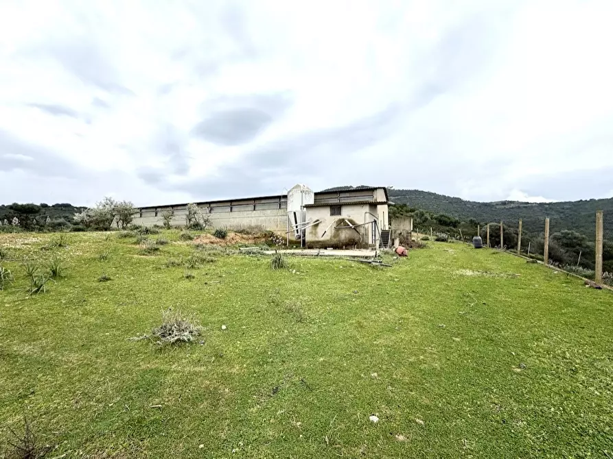 Immagine 5 di Capannone industriale in vendita  in Strada COMUNALE DE ORBAI, SNC a Dolianova