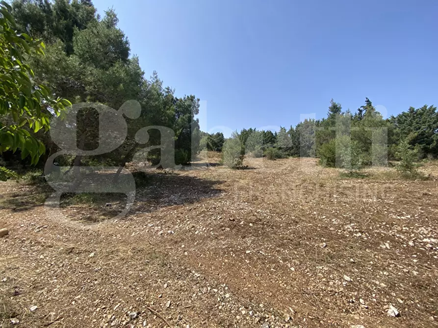 Immagine 31 di Villa in vendita  in Via S.P. 18, 76 a Cassano Delle Murge