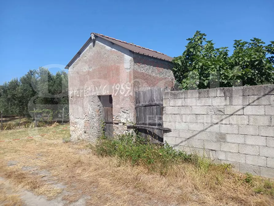Immagine 3 di Casa indipendente in vendita  in Via Puglia, snc a Catanzaro