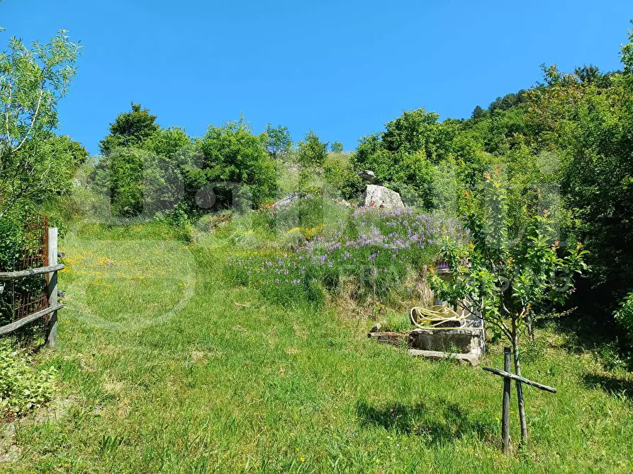 Immagine 36 di Villa in vendita  in Via SAN MARIA DEL MONTE, snc a Borbona