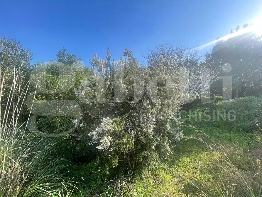 Immagine 8 di Terreno agricolo in vendita  in LocalitÃ  Monte a Mare, s.n.c a Gaeta