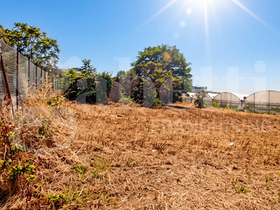 Immagine 2 di Terreno agricolo in vendita  in LocalitÃ  San Vito, s.n.c. a Gaeta