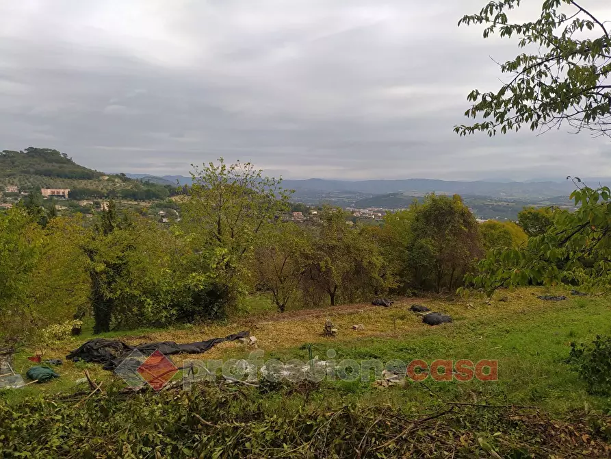 Immagine 4 di Terreno agricolo in vendita  in Via Monteluce Via Monterone a Perugia