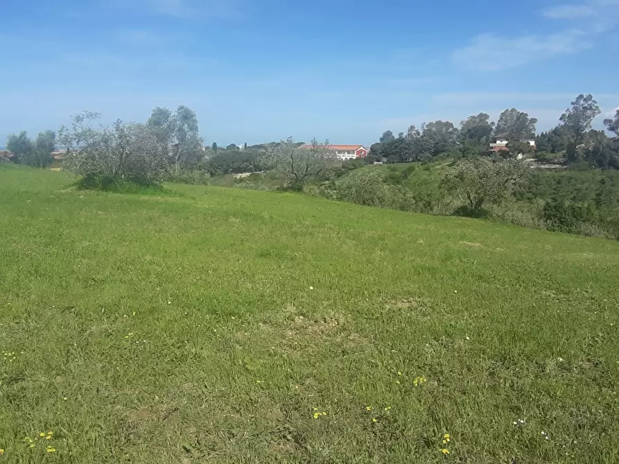 Immagine 1 di Terreno agricolo in vendita  in Via delle gore, snc a Livorno