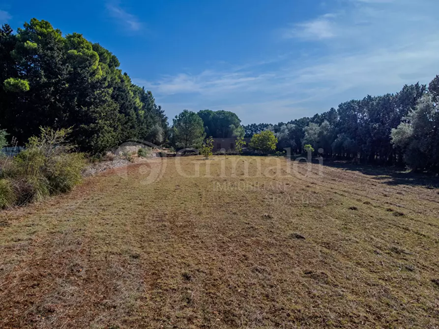 Immagine 10 di Terreno agricolo in vendita  in Via Cava Grande, 1 a Avola