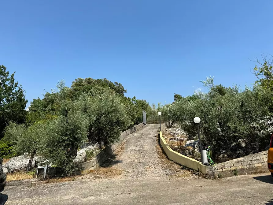 Immagine 19 di Villa in vendita  in Via Carbonara, 11 a Sonnino