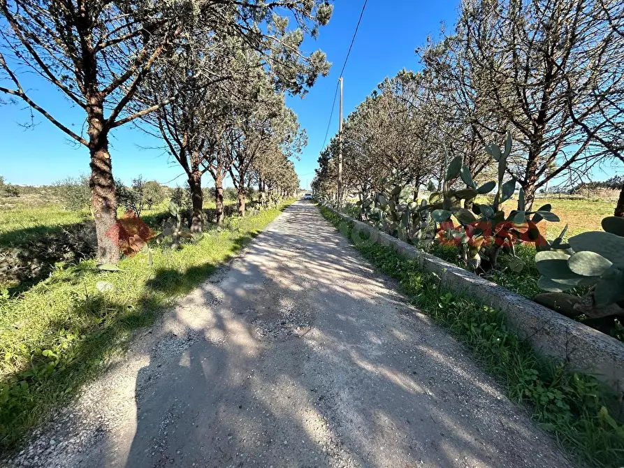 Immagine 4 di Terreno residenziale in vendita  in Via Prov.le Poggiardo-Spongano a Poggiardo