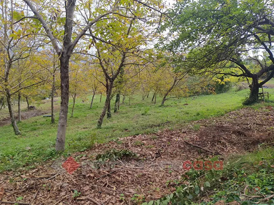 Immagine 12 di Terreno agricolo in vendita  in Via Monteluce Via Monterone a Perugia
