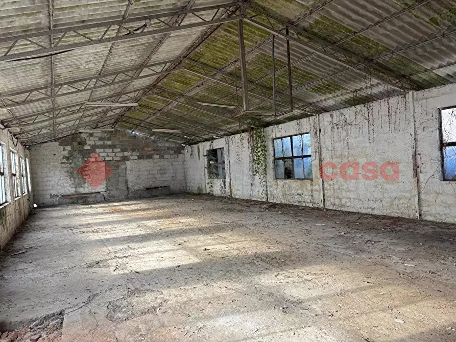 Immagine 5 di Capannone industriale in vendita  in Via Capannaccio, 1 a Anagni