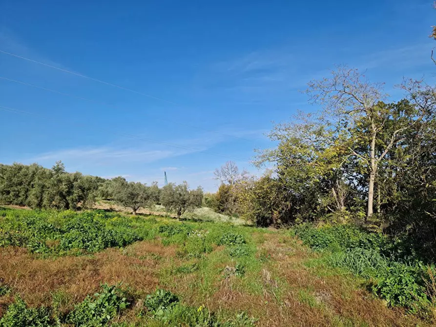 Immagine 1 di Terreno agricolo in vendita  in Contrada Padune a Roseto Degli Abruzzi