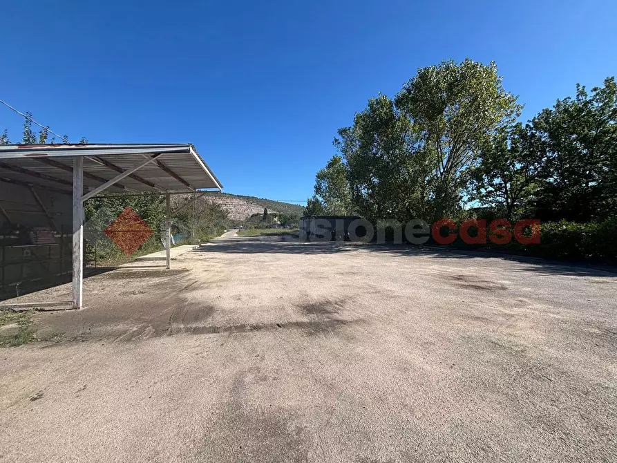 Immagine 9 di Negozio in affitto  in Via Casilina, snc a Anagni