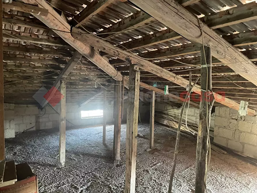 Immagine 10 di Villa in vendita  in Via Miceli III trav., snc a Vitulazio