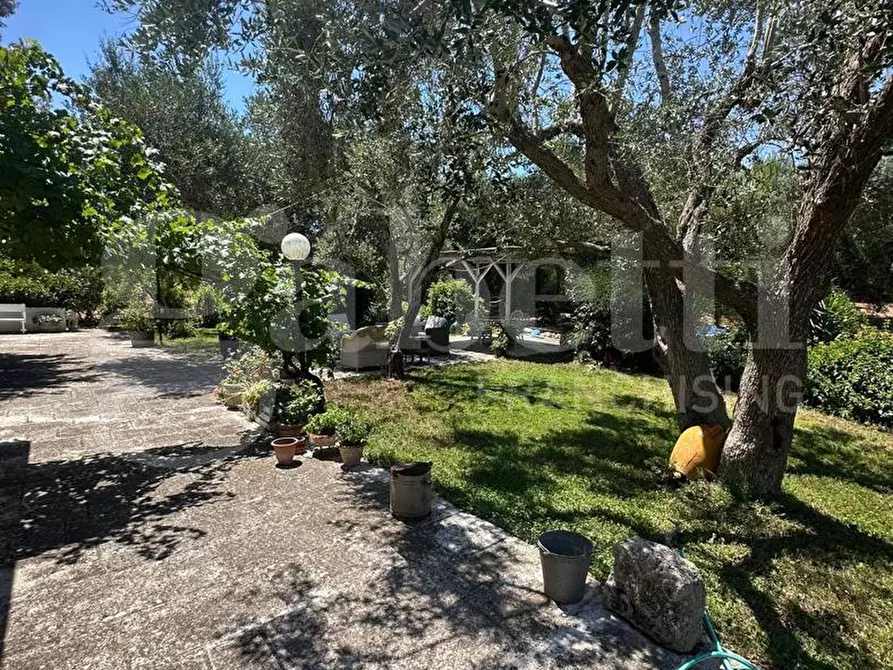 Immagine 36 di Villa in vendita  in Contrada Certosa, sn a Ostuni