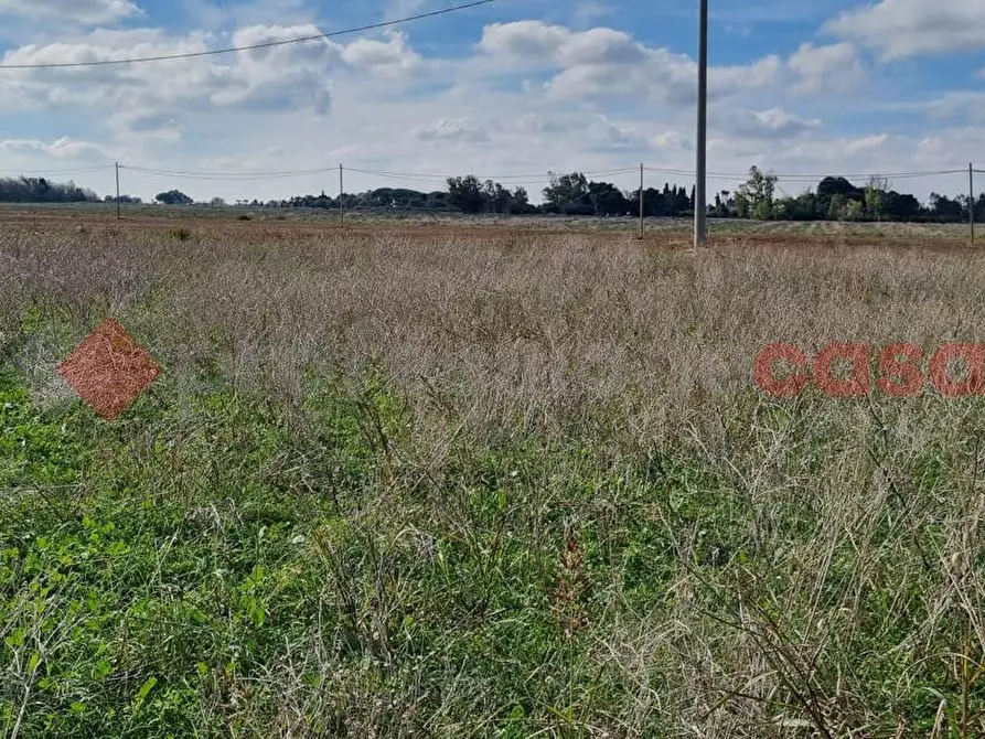 Immagine 1 di Terreno agricolo in vendita  in Strada PER SBITRI, SNC a Brindisi