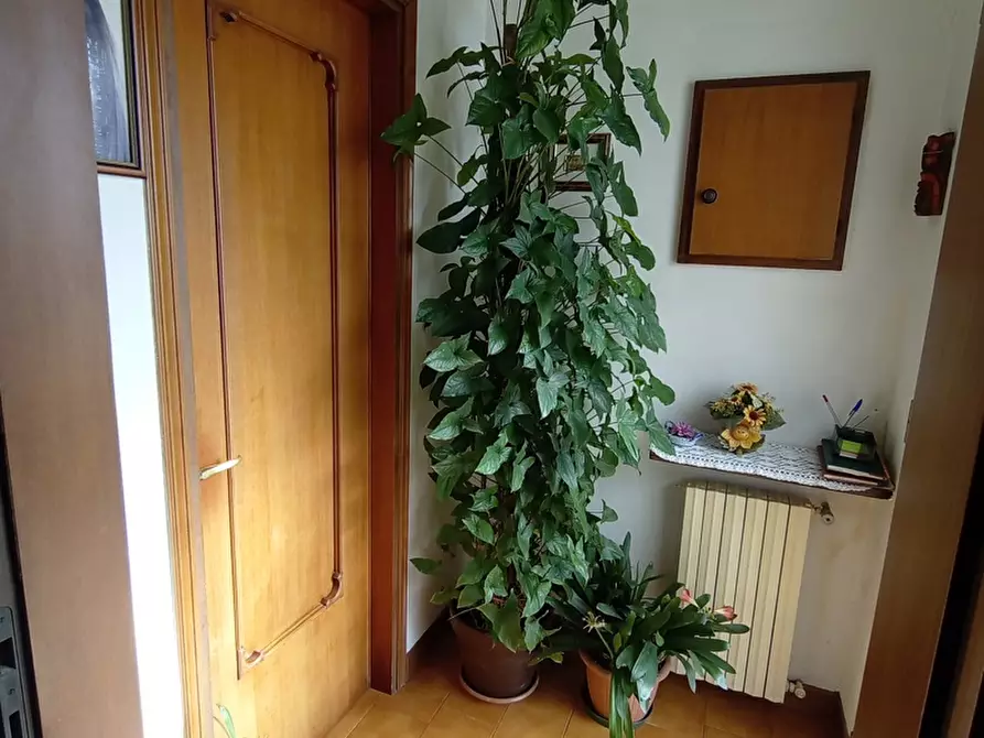 Immagine 5 di Casa indipendente in vendita  in Via Cavarzere, via Riviera Dolomiti, 36 a Cavarzere