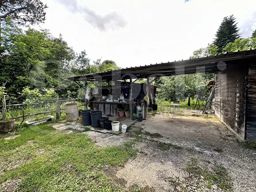 Immagine 9 di Terreno agricolo in vendita  in Via DELLA FIORA, 00 a Manziana