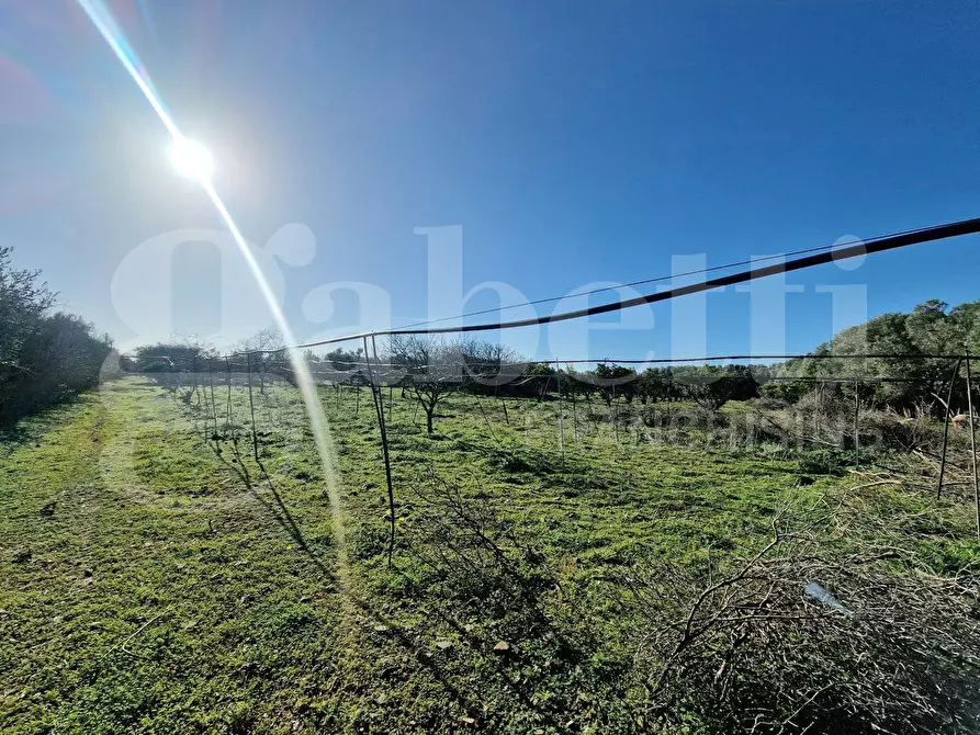 Immagine 10 di Terreno agricolo in vendita  in Via dessi, snc a Sestu