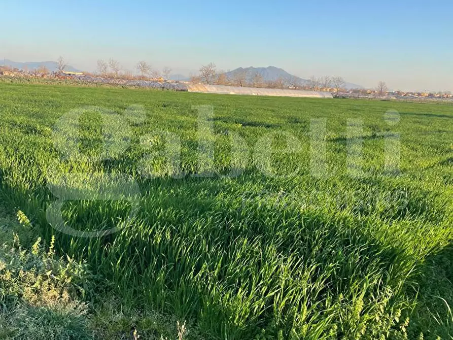 Immagine 5 di Terreno agricolo in vendita  in Via castello a Succivo