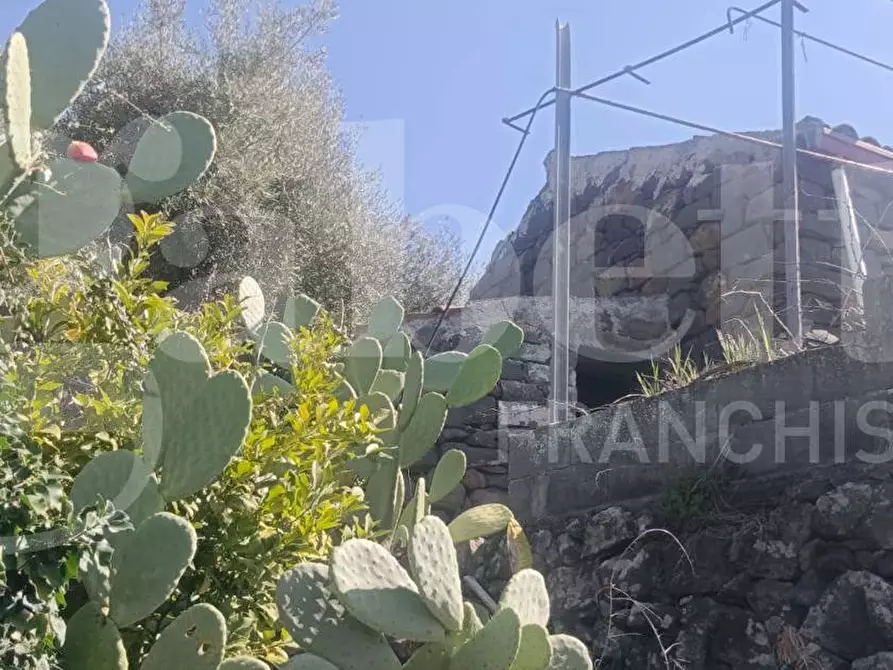 Immagine 6 di Terreno agricolo in vendita  in Contrada Mancusi Soprana, S.N.C a Santa Maria Di Licodia