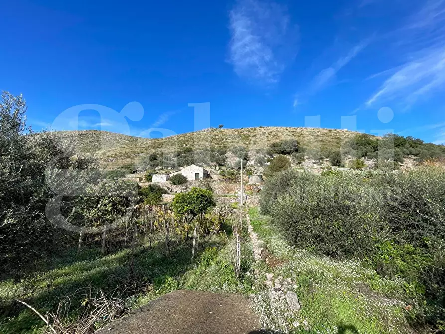 Immagine 15 di Terreno agricolo in vendita  in Via Sant'Agostino, snc a Gaeta