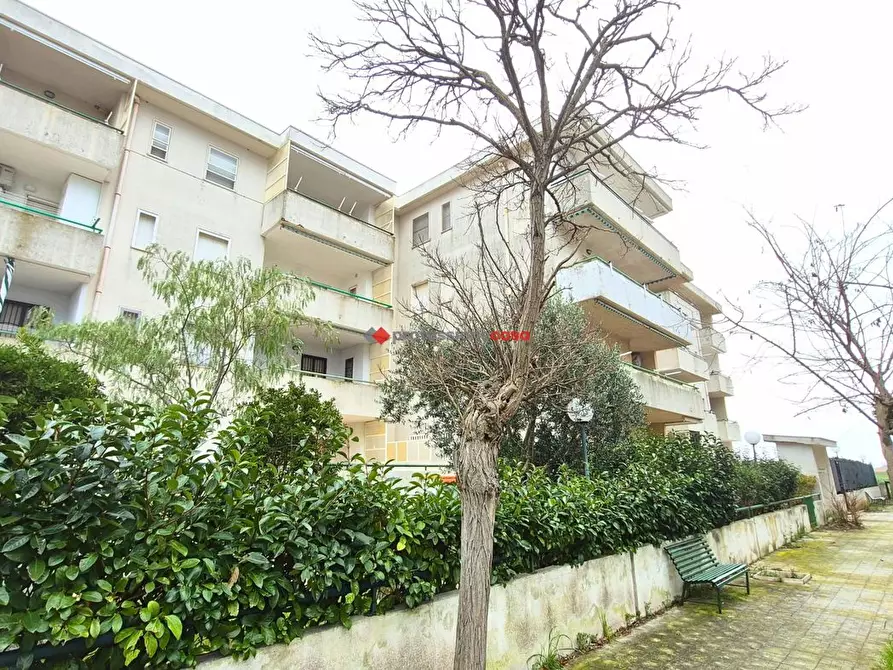 Immagine 1 di Appartamento in vendita  in Viale Marte, 55 a Lesina